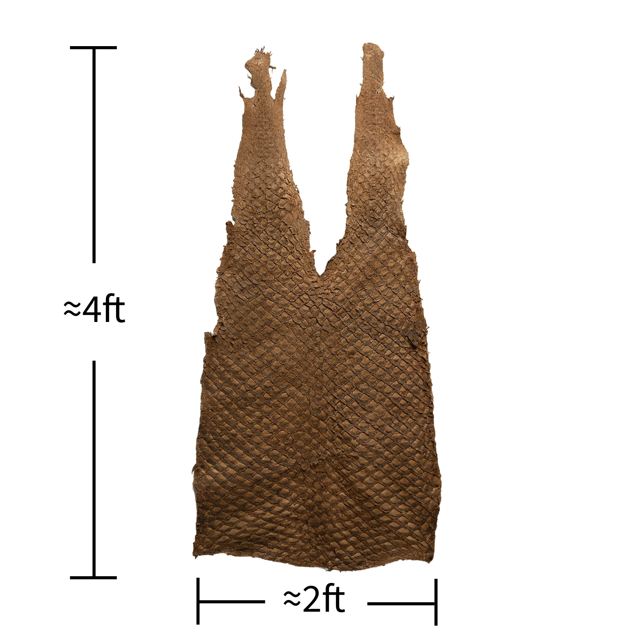 Whole Pirarucu Fish Leather - Limited Edition - Image 3
